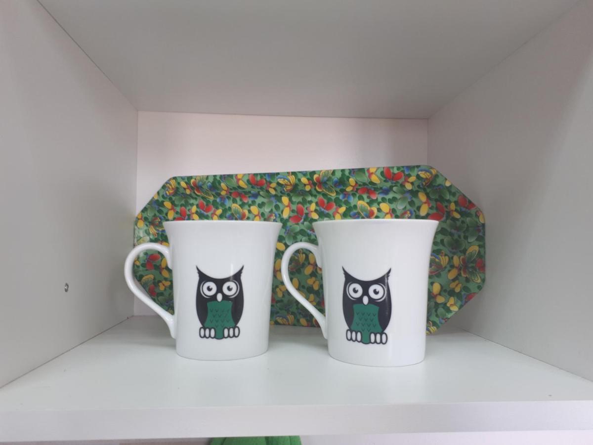 Apartament cozy hikers flat Belgrad Zewnętrze zdjęcie