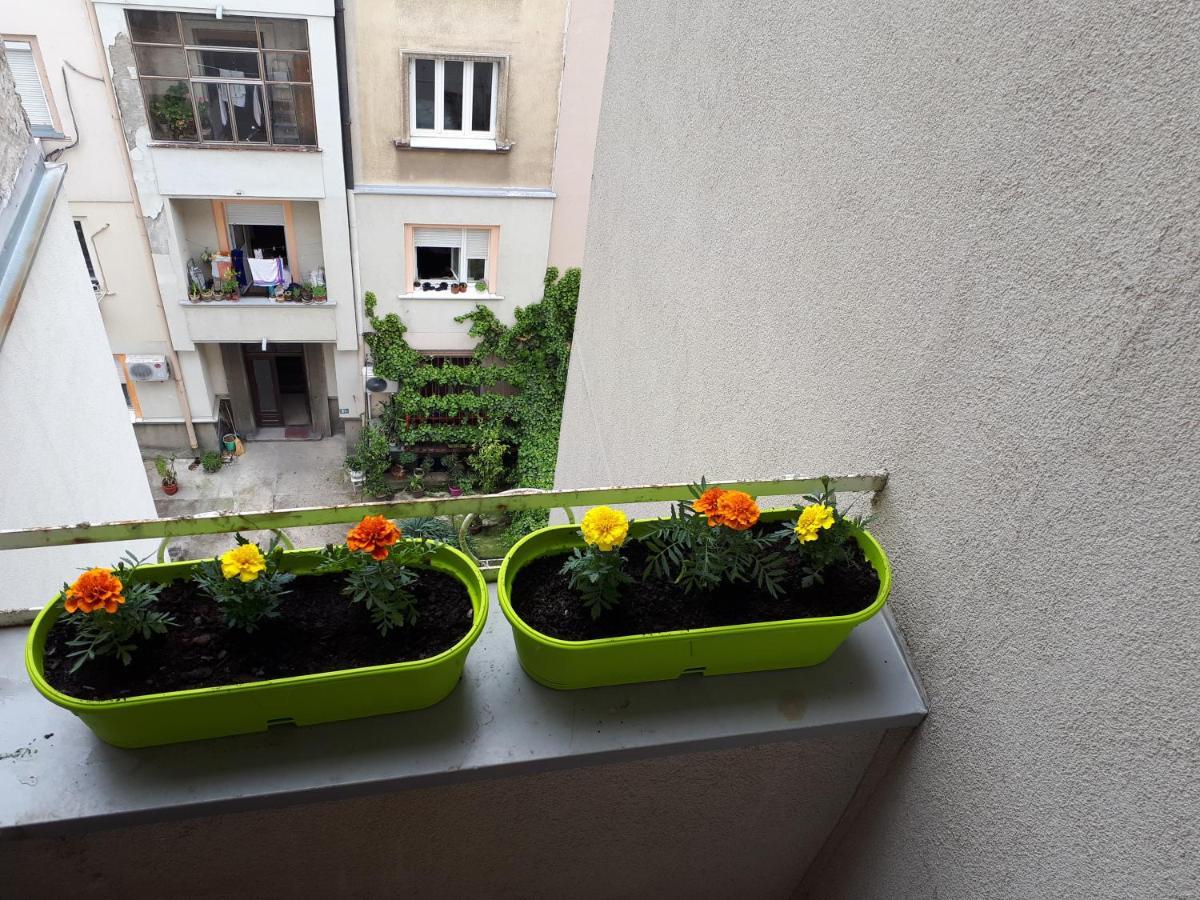 Apartament cozy hikers flat Belgrad Zewnętrze zdjęcie