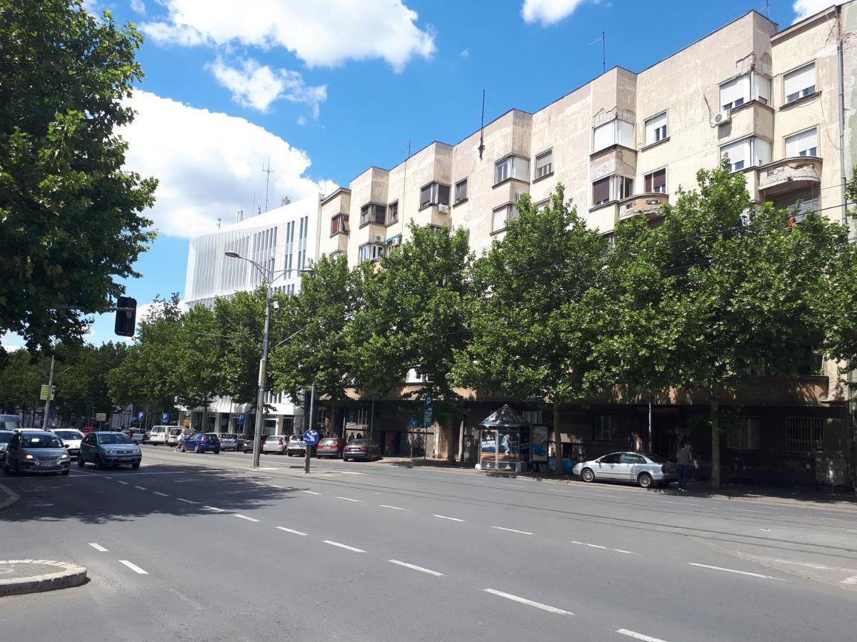 Apartament cozy hikers flat Belgrad Zewnętrze zdjęcie