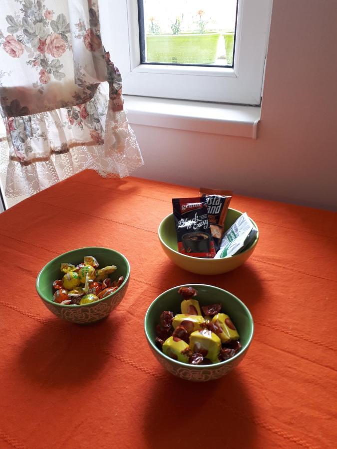 Apartament cozy hikers flat Belgrad Zewnętrze zdjęcie