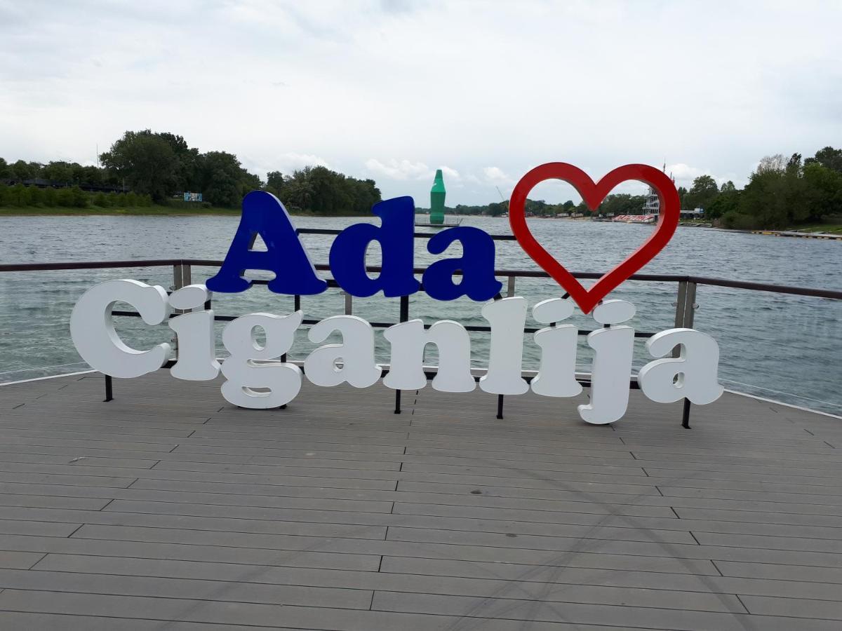 Apartament cozy hikers flat Belgrad Zewnętrze zdjęcie