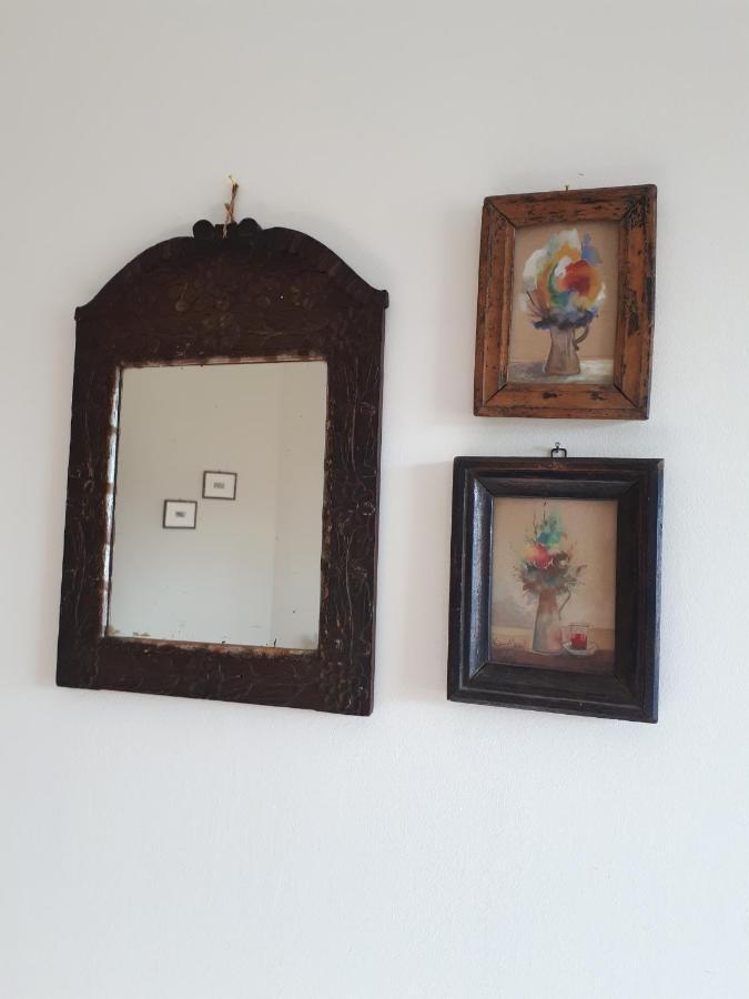 Apartament cozy hikers flat Belgrad Zewnętrze zdjęcie