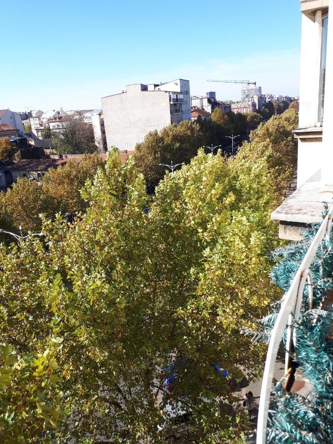Apartament cozy hikers flat Belgrad Zewnętrze zdjęcie