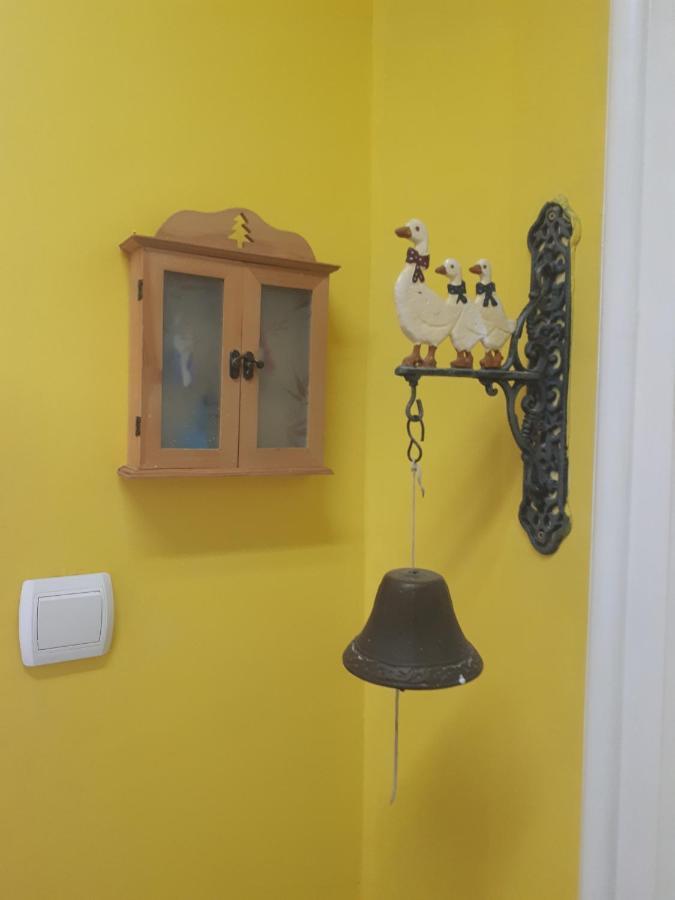 Apartament cozy hikers flat Belgrad Zewnętrze zdjęcie