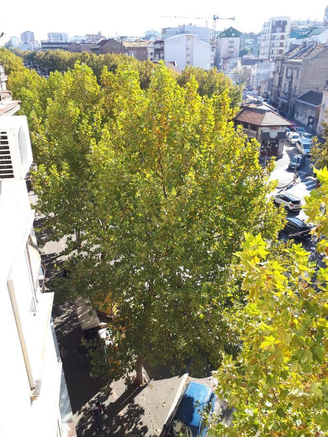 Apartament cozy hikers flat Belgrad Zewnętrze zdjęcie